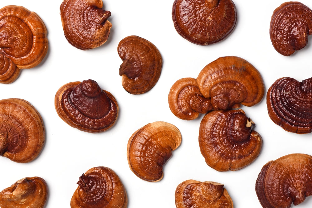 Mushroom Skincare, Minus the Hype: Why Ganoderma Lucidum Is in Our Formulas